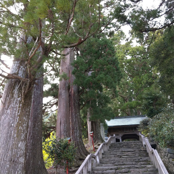 徳島県の遍路宿レビュー 焼山寺宿坊 12番寺 歩きお遍路四国か所 別格霊場巡礼通し打ちの旅