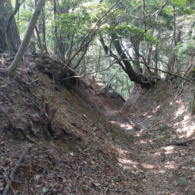 香川県の遍路宿レビュー 民宿青空屋 歩きお遍路四国か所 別格霊場巡礼通し打ちの旅